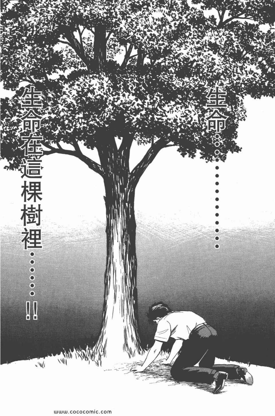 第231页