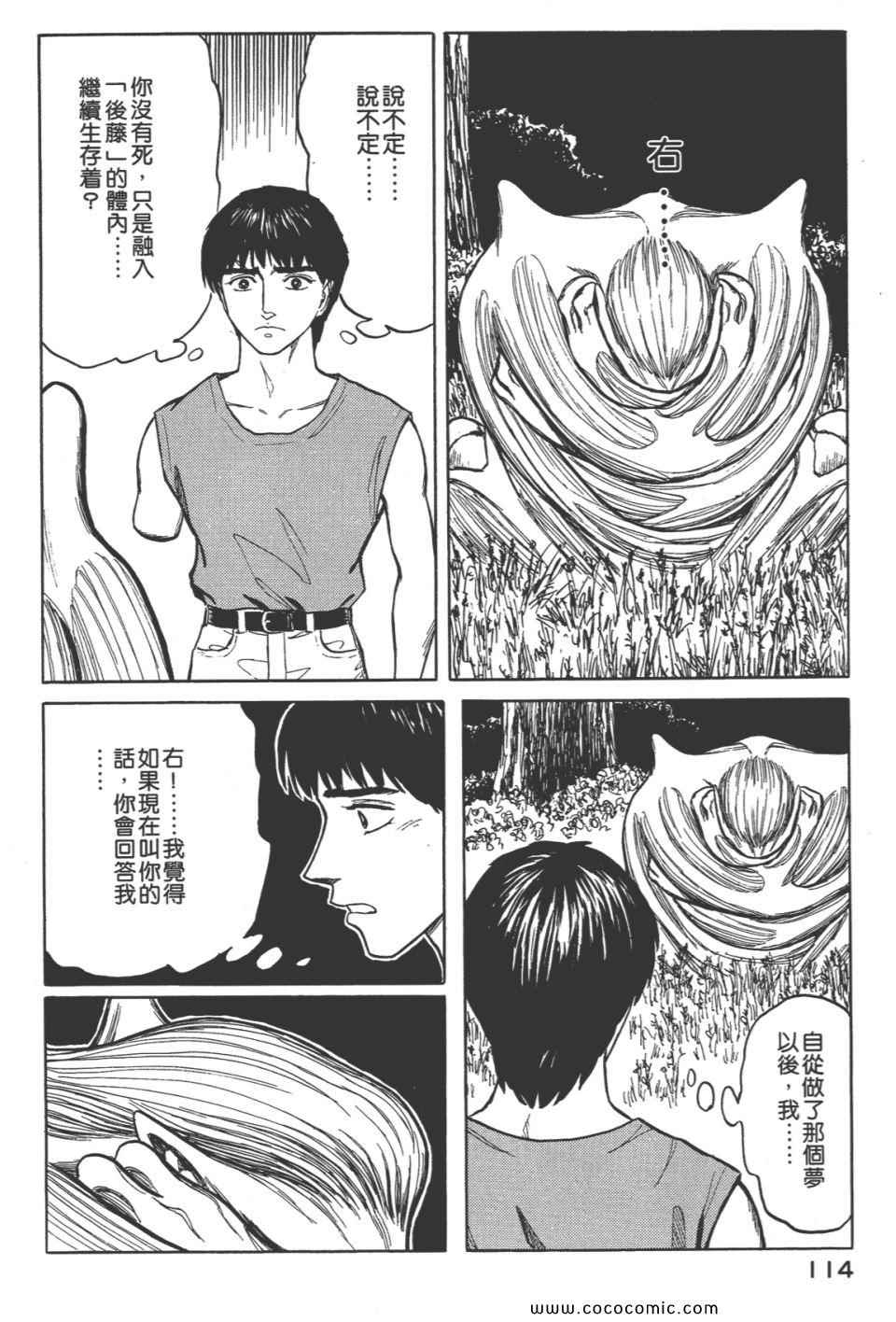 第117页