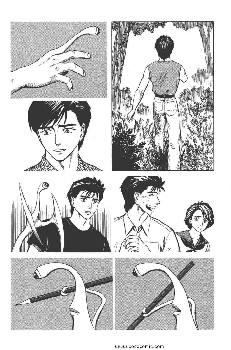第45页