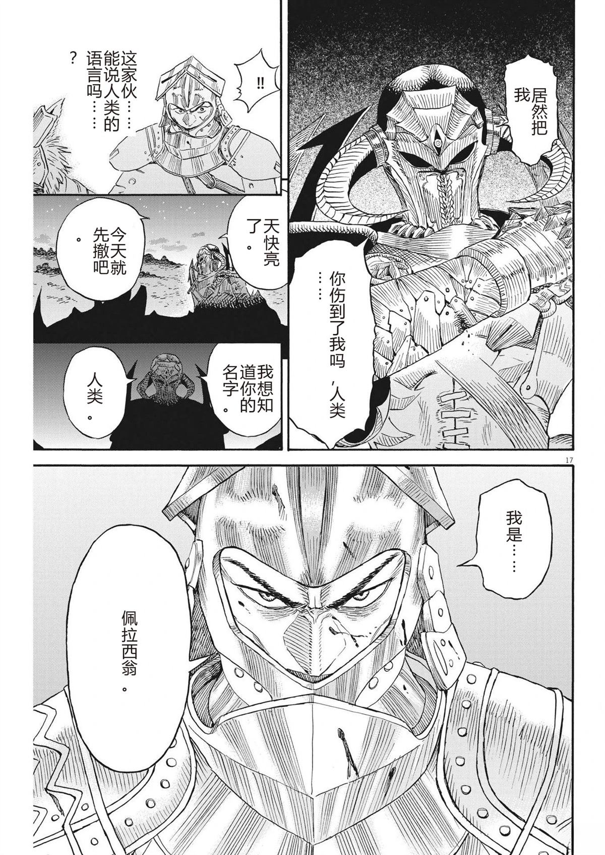 第17页