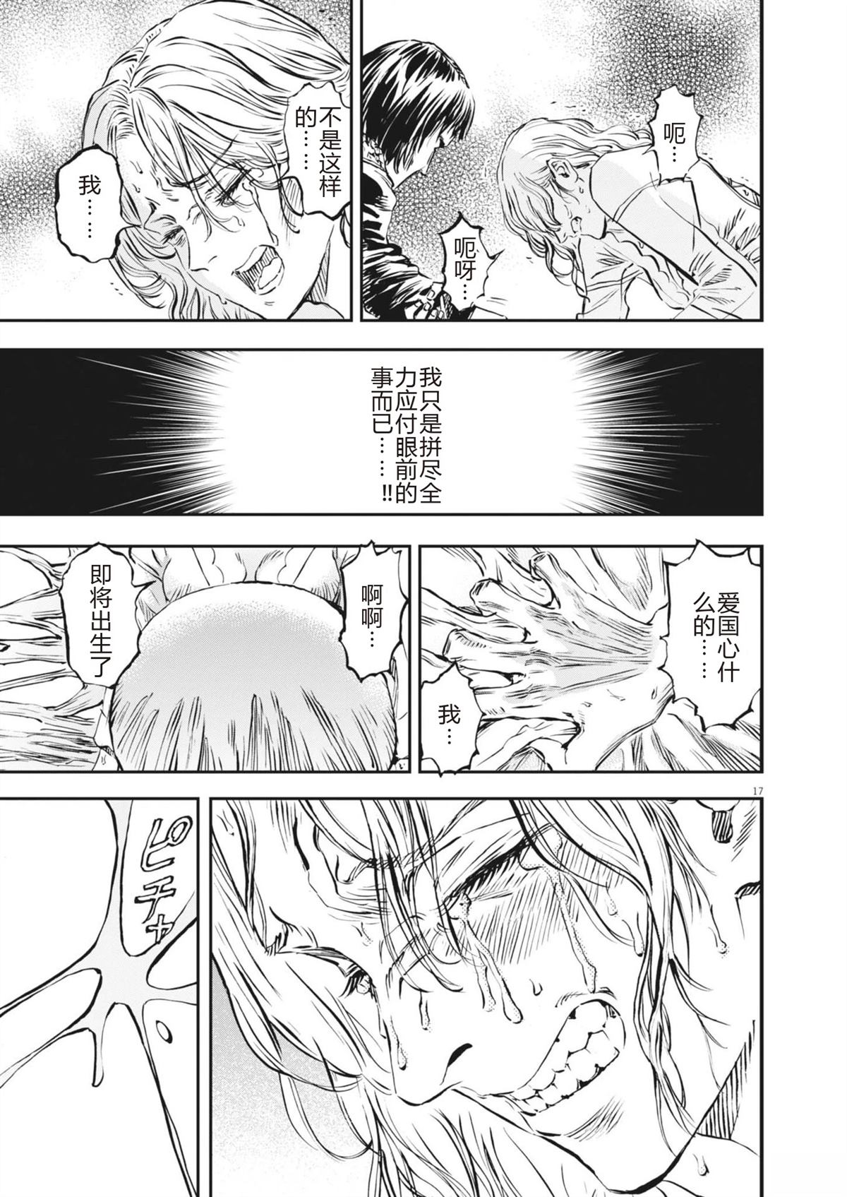 第17页