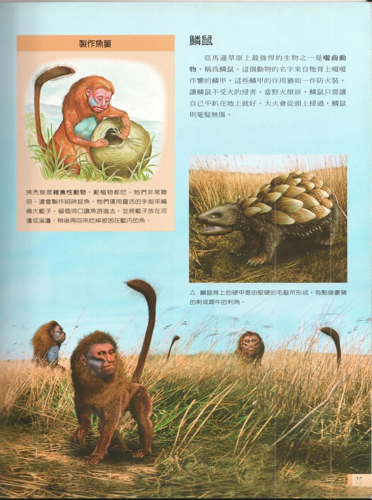 第42页