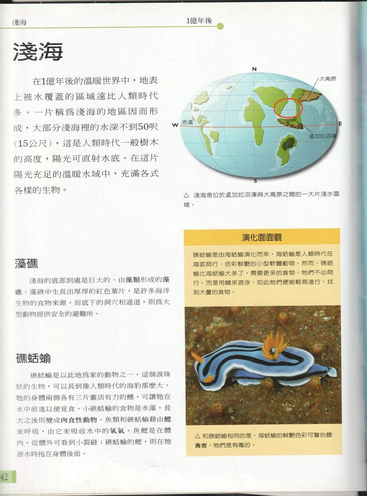 第49页