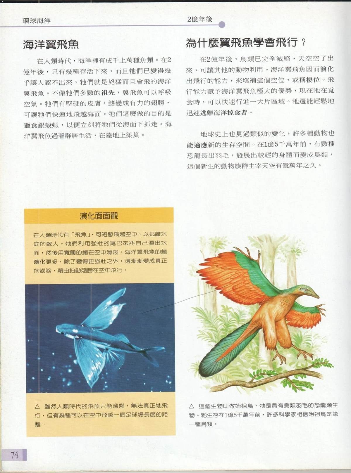 第81页