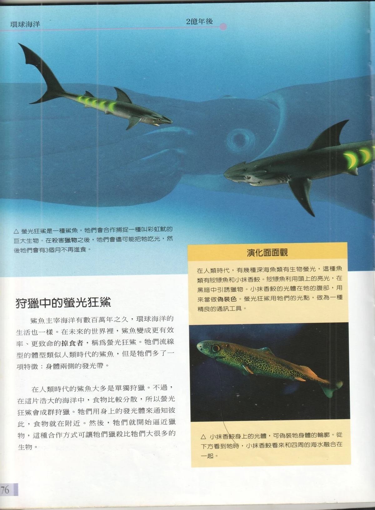 第83页
