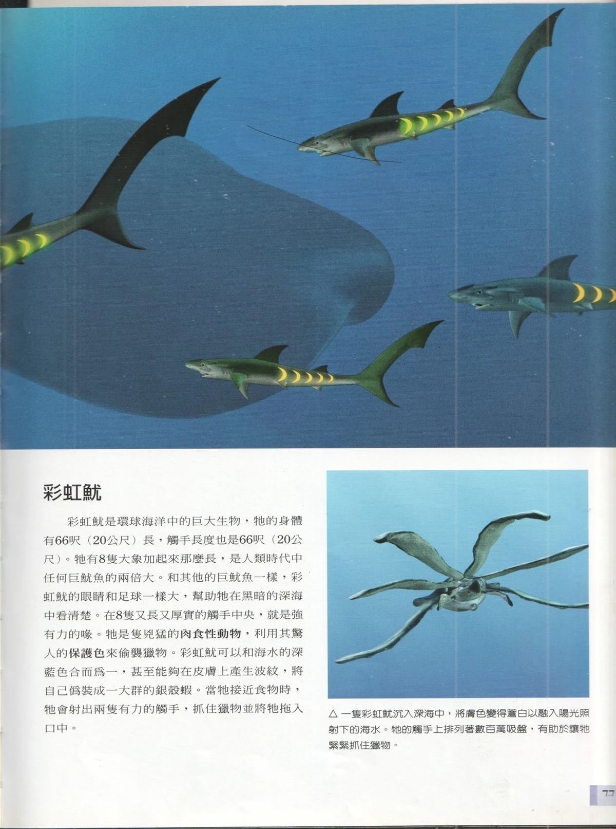 第84页