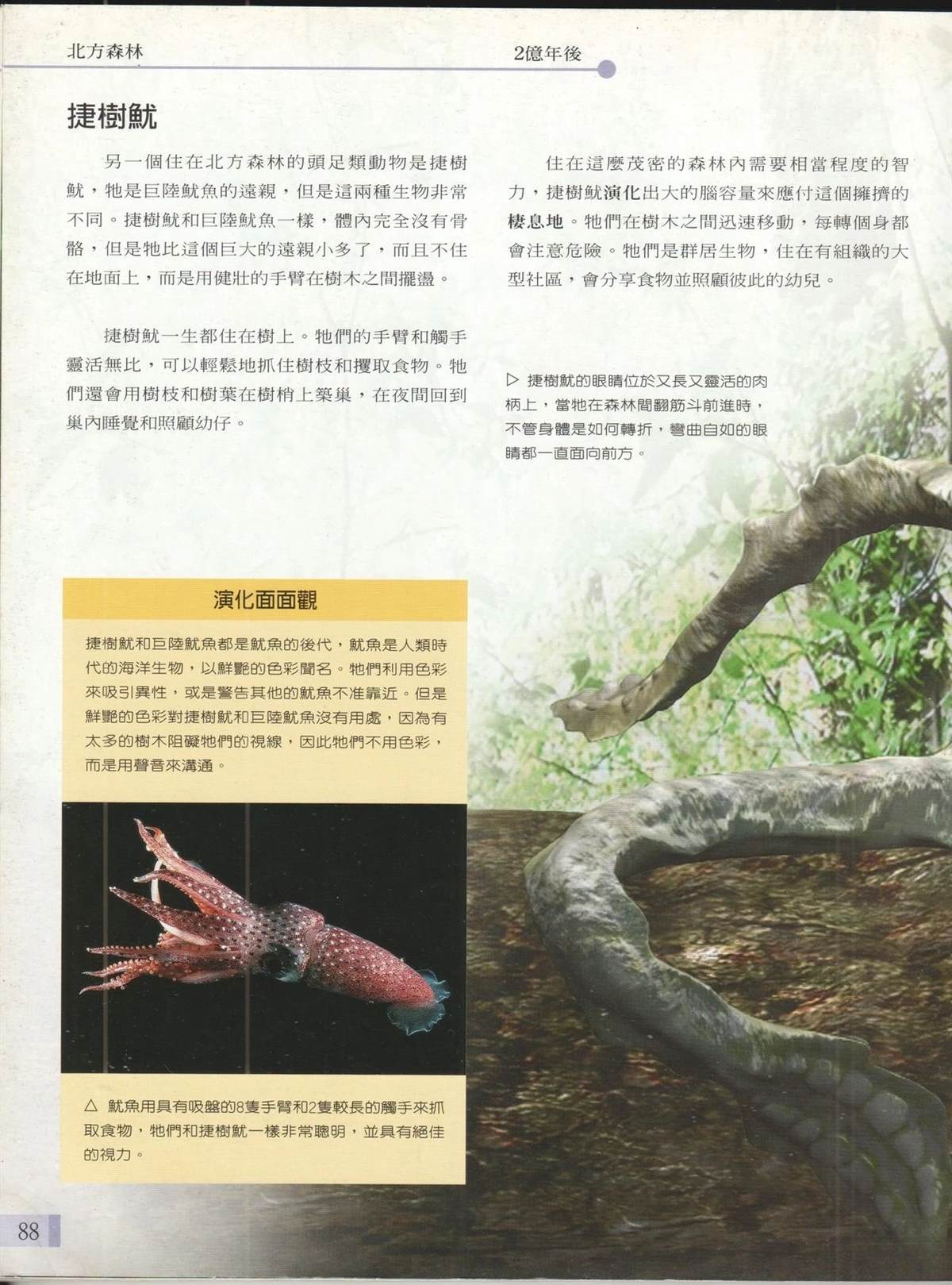 第95页